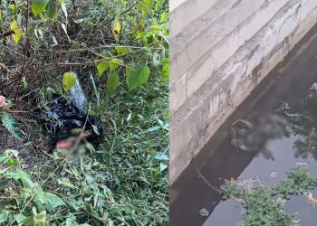 Pernas achadas em saco plástico podem ser de cadáver jogado em igarapé no Tarumã