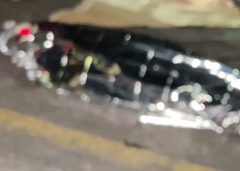 Idosa morre após ser atingida em cheio por carro enquanto atravessava rua do bairro Petrópolis