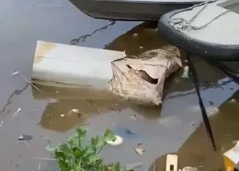 Virou moda: Corpo é encontrado todo ‘ticad0’ dentro de máquina de lavar em Manaus