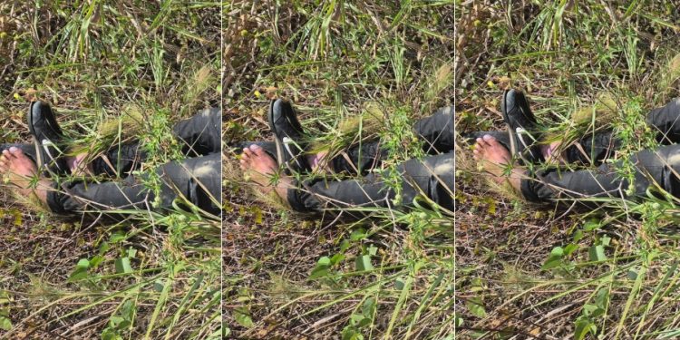 Urgente: segundo corpo é encontrado no Tarumã nesta terça-feira
