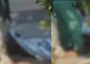 Vídeo: choque fulminante mata morador de rua na Constantino Nery