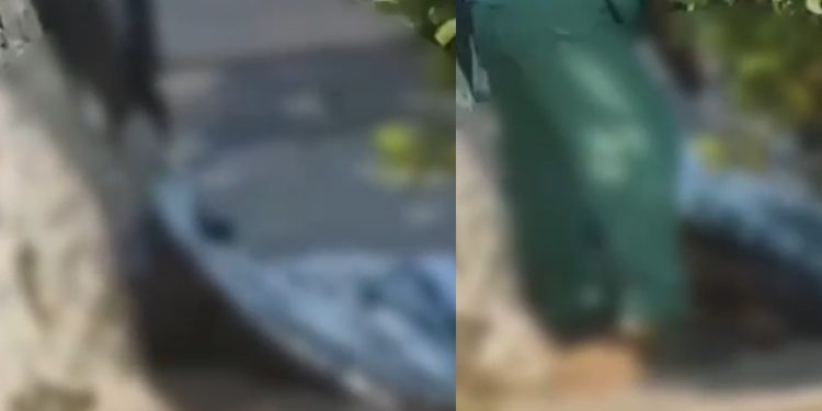 Vídeo: choque fulminante mata morador de rua na Constantino Nery