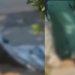 Vídeo: choque fulminante mata morador de rua na Constantino Nery