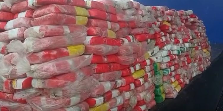 Polícia do Amazonas tomba R$ 330 milhões em cocaína dos traficantes de uma só vez