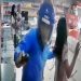 Vídeo: criminosos fazem mulher de escudo humano e tentam roubar dinheiro de banco no Amazonas