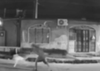 Vídeo: Vulgo ‘Neguinho’ é preso após esfaquear cachorro em Manaus que havia latido na rua