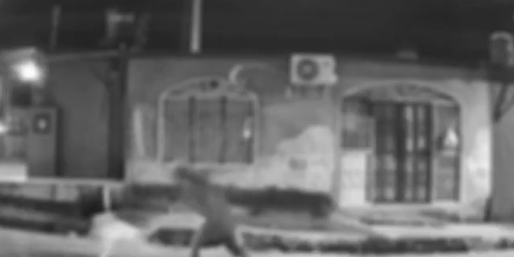 Vídeo: Vulgo ‘Neguinho’ é preso após esfaquear cachorro em Manaus que havia latido na rua