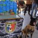 Cadela policial encontra 60 quilos de cocaína escondidos em mala no Amazonas