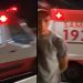 Vídeo de tragédia: homem m0rre atropelad0 em Manaus