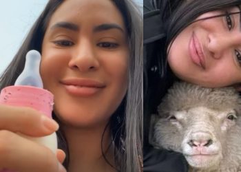 Vídeo: Matteus apresenta Chiquinha para Isabelle e manda ela dar leite para a ovelha