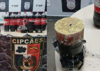 Jovem mistura cocaína no refri e acaba preso no Porto de Manaus 