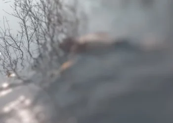 Urgente: Corpo é encontrado boiando nesta manhã na Colônia Antônio Aleixo