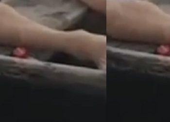 Veja c0rpo de pescador estrangulad0 dentro de canoa à deriva no Amazonas 