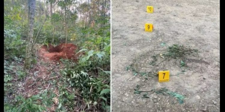 Mulher planeja morte do ex-marido, mas acaba morta ao lado da cova dele