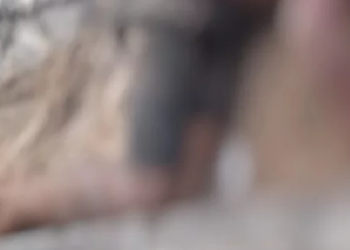 Grupo criminosos dá ‘lição’ e deixa homem na calçada para morr3r em Manaus