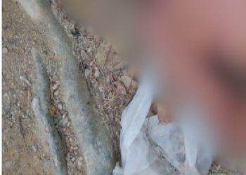 Veja: Idoso é esp@ncado até a morte, principalmente na cabeça, em rua no bairro Jorge Teixeira