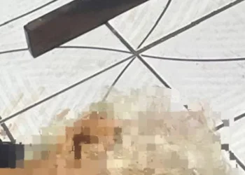 Vídeo: Morre no hospital idoso de 69 anos que levou tiro dentro de casa vítima de bala perdida em Manaus