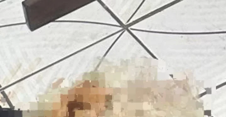 Vídeo: Morre no hospital idoso de 69 anos que levou tiro dentro de casa vítima de bala perdida em Manaus