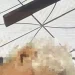 Vídeo: Morre no hospital idoso de 69 anos que levou tiro dentro de casa vítima de bala perdida em Manaus