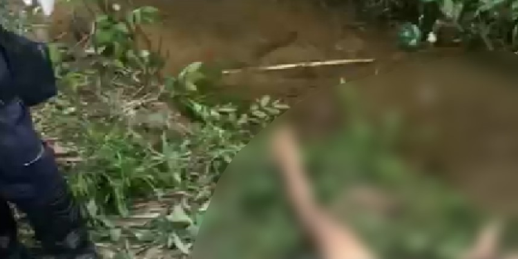 Vídeo: Horas após d3struir c@beça do colega na pedr@da, homem é mort0 em Manaus