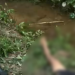 Vídeo: Horas após d3struir c@beça do colega na pedr@da, homem é mort0 em Manaus