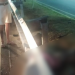 Cenas fortes: ‘Apressadinhos’ morrem em acidente no Tarumã com um deles quebrand0 o pescoço