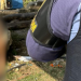 Homem é encontrado sem vida sentado em pedra às margens de igarapé no Glória