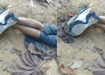 Homem é amarrad0 e mort0 de bruços no Amazonas