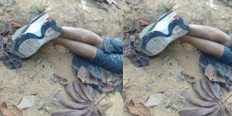 Homem é amarrad0 e mort0 de bruços no Amazonas