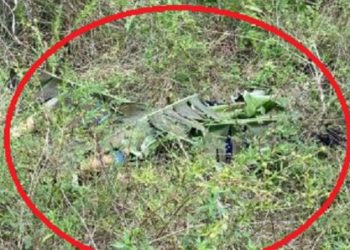 Mulher morre por estrangulament0 e tem corpo coberto por folhas em Manaus