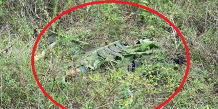 Mulher morre por estrangulament0 e tem corpo coberto por folhas em Manaus
