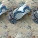 “Mano P”, mort0 em Rio Preto da Eva, é identificado como suspeito de homicídi0