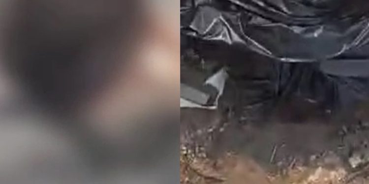 Vídeo: manauaras postam vídeo da cabeça de decapitad0 encontrada no saco de lixo