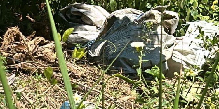 Morador estranha animais ao redor de saco e encontra cadáver de detento em mata de Manaus