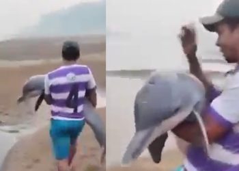 Vídeo: ribeirinho carrega boto para salvá-lo no rio Madeira seco: ‘bichinho tá morrendo’