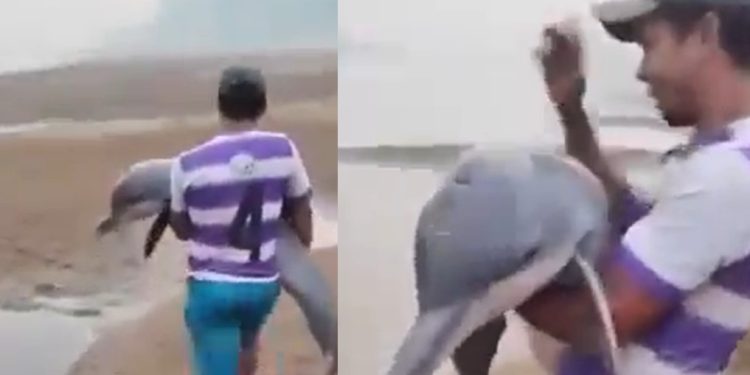 Vídeo: ribeirinho carrega boto para salvá-lo no rio Madeira seco: ‘bichinho tá morrendo’