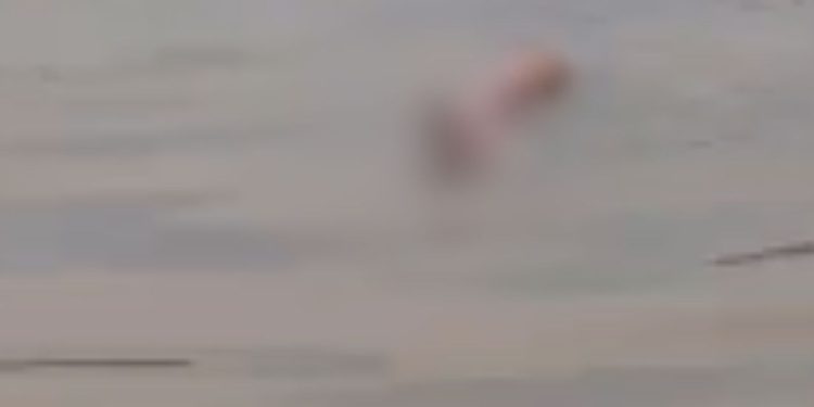“Muito triste”: Vídeo mostra possível vítima do barco que pegou fogo no município de Uarini