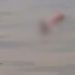 “Muito triste”: Vídeo mostra possível vítima do barco que pegou fogo no município de Uarini