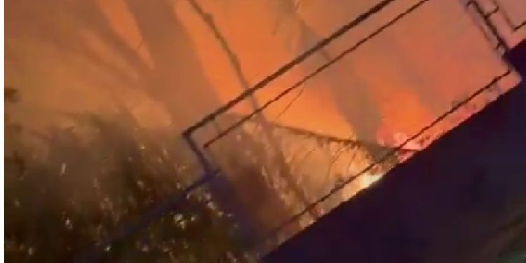 VÍDEO: Parque Municipal do Idoso é atingido por incêndio criminoso em Manaus