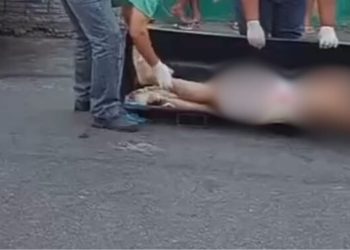 Pistoleiros matam jovem no São José com cerca de 10 tiros; veja a foto