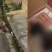 Gatinho morre carbonizado no Jorge Teixeira após idosa não aceitá-lo em casa