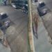 Sob a mira de uma arma, trabalhador entrega bolsa a assaltante no Centro e câmera filma tudo