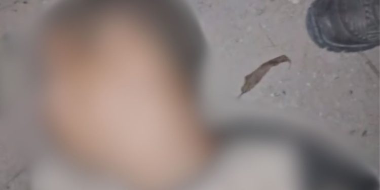 Veja o vídeo: Homem é achado morto em área de mata no bairro Puraquequara
