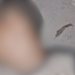 Veja o vídeo: Homem é achado morto em área de mata no bairro Puraquequara