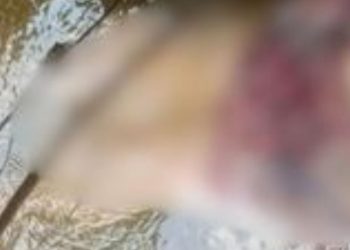 Mulher que morava sozinha é achada morta nos fundo de sua casa com marcas de agressão na cabeça no AM