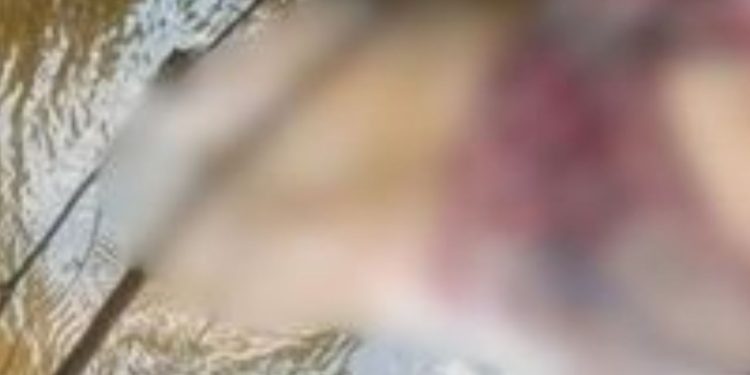 Mulher que morava sozinha é achada morta nos fundo de sua casa com marcas de agressão na cabeça no AM