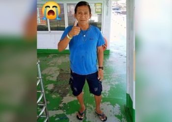 Homem morre após ser picado por cobra enquanto fazia extração de Copaíba em Maués