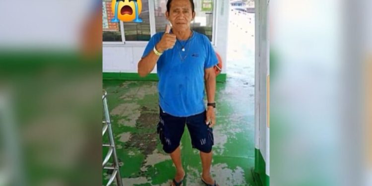 Homem morre após ser picado por cobra enquanto fazia extração de Copaíba em Maués