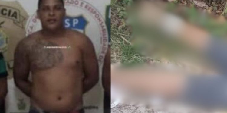 Vulgo 'Búfalo' é achado todo perfurado por tiros em área de mata no Amazonas; veja