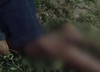 Imagem forte: Pistoleiros matam primos que estava passeando em rua do Jorge Teixeira